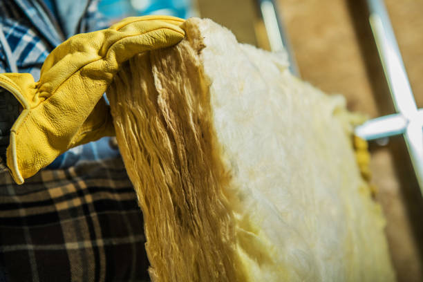 Professional Insulation Contractor in Madison Heights, VA
