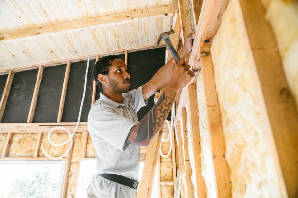 Best Best Insulation Companies  in Madison Heights, VA