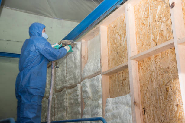 Best Insulation Inspection Services  in Madison Heights, VA